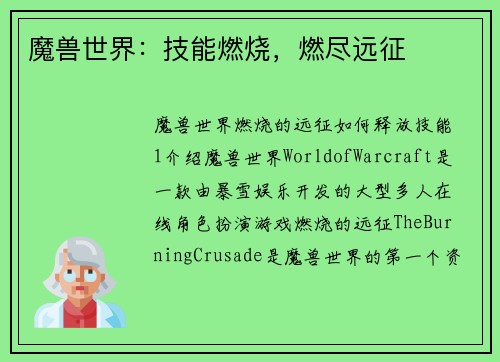 魔兽世界：技能燃烧，燃尽远征